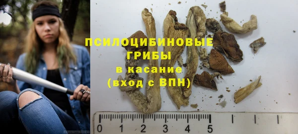 прущие крисы Баксан