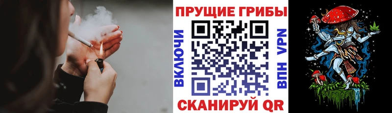 продажа наркотиков Губкинский Галлюциногенные грибы Cubensis